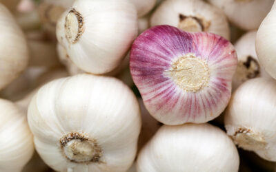 Garlic Wasn’t Always a Staple of Italian Foods, but It’s Become One